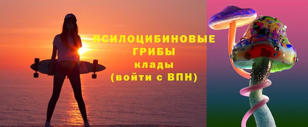 шишки Баксан