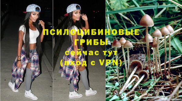 шишки Баксан