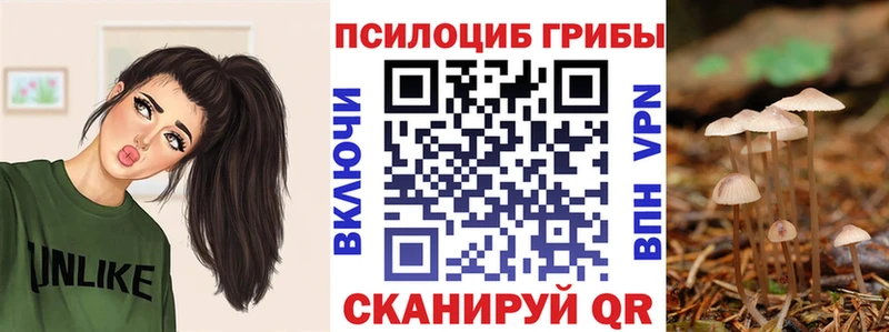 Галлюциногенные грибы Psilocybine cubensis  Купить закладки  Биробиджан 